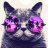 KOT_BY