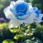 Nadya_the_Sun